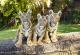 Cubs
 - 2 Day Dreamworld + Skypoint Dreamworld