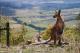 Wildlife  - Eaglereach Wilderness Resort