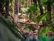 Zebedee Springs
 - El Questro Homestead