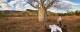 El Questro Homestead - Dining
 - El Questro Wilderness Park