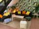 Lobby seating
 - Elephant Backpackers