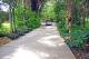 Tropical Rainforest Setting
 - Emeraldene Inn and Eco Lodge