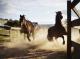 Horse Experience
 - Emirates One&Only Wolgan Valley