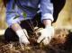 Conservation Activity
 - Emirates One&Only Wolgan Valley