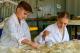 Fossil Prep Program at ENHM
 - Australian Dinosaur Giants Tour Eromanga Natural History Museum