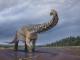 Cooper _ Australia's largest dinosaur
 - Australian Dinosaur Giants Tour Eromanga Natural History Museum