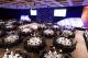 Functions
 - Esplanade Hotel Fremantle - By Rydges