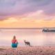 Girl and kangaroo at Habitat Noosa 
 - Serenity Tour Everglades Eco Safaris