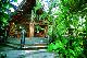 Cape Tribulation Accommodation, Hotels and Apartments - Ferntree Rainforest Lodge