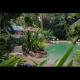 Pool
 - Ferntree Rainforest Lodge