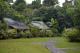 Ferntree Rainforest Lodge Private Cabin Gardens 
 - Ferntree Rainforest Lodge