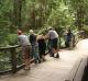 Rainforest Walk
 - K'gari Day Tour - Rainbow Beach to Rainbow Beach Discovery K'Gari Adventures