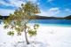 Lake McKenzie
 - K'gari Day Tour - Rainbow Beach to Rainbow Beach Discovery K'Gari Adventures
