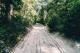 Rainforest Drive
 - K'gari Day Tour - Rainbow Beach to Rainbow Beach Discovery K'Gari Adventures