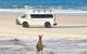 Bribie Island 
 - Bribie Island Day trip ex BNE G'Day Adventure Tours