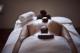 Spa
 - Elysia Wellness Retreat