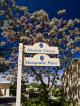 Gov's streets
 - Governor's Lodge Resort Hotel