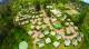 Aerial View
 - Governor's Lodge Resort Hotel