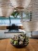 Beach Club Lounge
 - Hamilton Island Beach Club