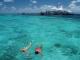 Snorkelling the Great Barrier Reef
 - Hamilton Island Reef View Hotel