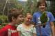 Port Douglas Tours, Cruises, Sightseeing and Touring - Hartley's Koala Breakfast with the Koalas  - ex Port Douglas