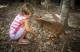 Cairns Beaches Tours, Cruises, Sightseeing and Touring - Big Croc Feed - ex Palm Cove