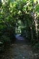 Walking tracks around the Lodge
 - Heritage Lodge in the Daintree