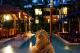 Poolside
 - Hibiscus Resort & Spa Port Douglas