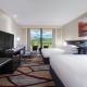 Double Guest Room
 - Hilton Cairns