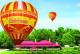 Gold Coast Tours, Cruises, Sightseeing and Touring - Scenic Balloon Ride &O'Reilly's Vineyard Hot Bfst ex GLD GC