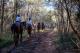 Horseriding
 - Hunter Valley Resort + Farm