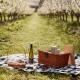 Sorell Accommodation, Hotels and Apartments - Iron Creek Bay Farm Stay
