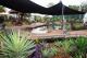 Pool
 - Island Leisure Resort