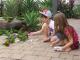 Resort Wildlife
 - Island Leisure Resort