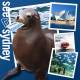 Sydney Attractions and Theme Parks Tickets - Sydney Flexi Pass 5 Attractions