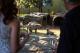Hyenas
 - Jamala Wildlife Lodge