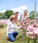 Jurlique Handpicked - Jurlique Private Immersion Jurlique Farm Tour