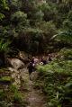 Queensland Tours, Cruises, Sightseeing and Touring - Bush Tucker Walk in the Hinterland - ex Gold Coast