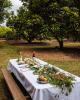 Queensland Tours, Cruises, Sightseeing and Touring - Northern Rivers Farm Gate Trail - ex Gold Coast