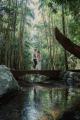 Queensland Tours, Cruises, Sightseeing and Touring - Tamborine Hidden Gems - ex Gold Coast