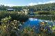 pool  - Kingfisher Bay Resort to River Heads Jetty - Launch -One Way Kingfisher Bay Resort