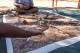 Art
 - Discovery Resorts - Kings Canyon