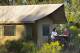 Wilderness Tent
 - Kings Canyon Wilderness Lodge