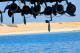 Relax
 - Kooljaman At Cape Leveque