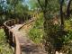 boardwalk
 - Kooljaman At Cape Leveque
