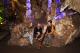  Tours, Cruises, Sightseeing and Touring - Didgeridoo Cave Tour