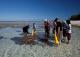 Guided reef walk
 - Lady Elliot Island Eco Resort