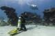 Diving with manta rays
 - Lady Elliot Island Eco Resort