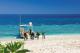 Scuba divers
 - Lady Elliot Island Eco Resort