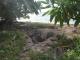 Turtle nesting (Nov-Feb)
 - Lady Elliot Island Eco Resort
